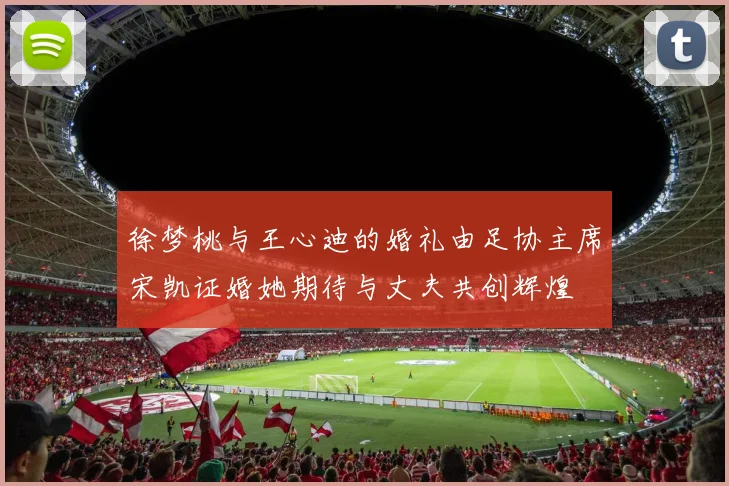 徐梦桃与王心迪的婚礼由足协主席宋凯证婚她期待与丈夫共创辉煌