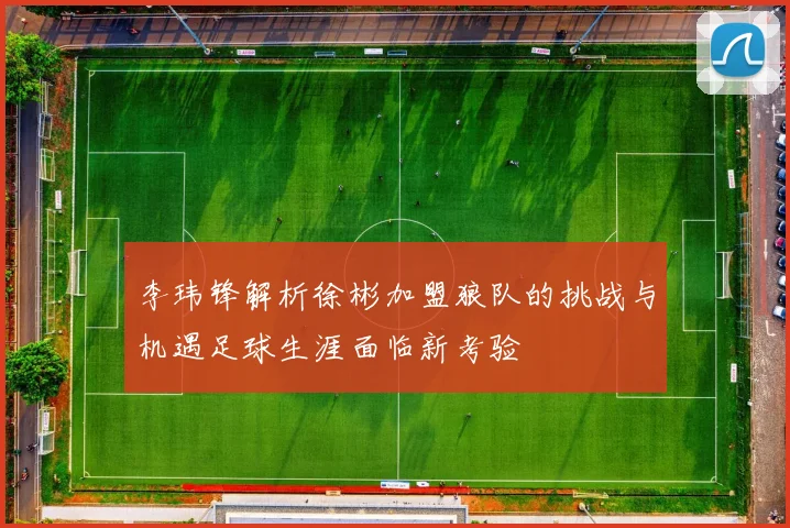 李玮锋解析徐彬加盟狼队的挑战与机遇足球生涯面临新考验