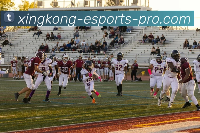 App Interface Preview