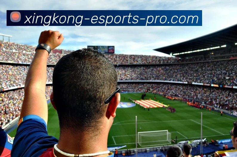 星空体育APP 封面图